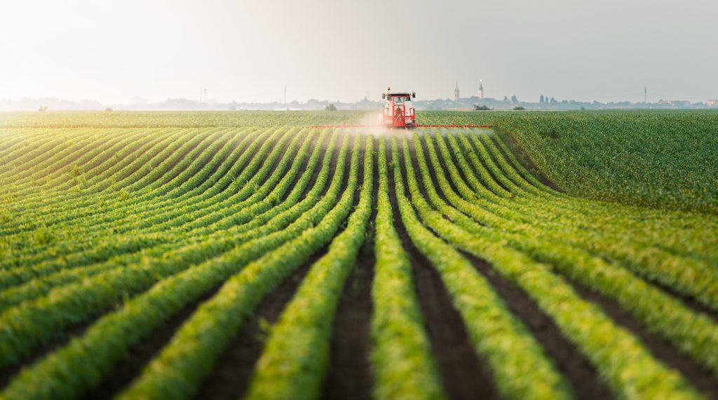 Navigating Agricultural Price Supports: 9 Crucial Considerations